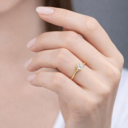 ChatGPT Image 20 de dez. de 2025, 10_58_28